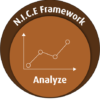 Analyze - NICE