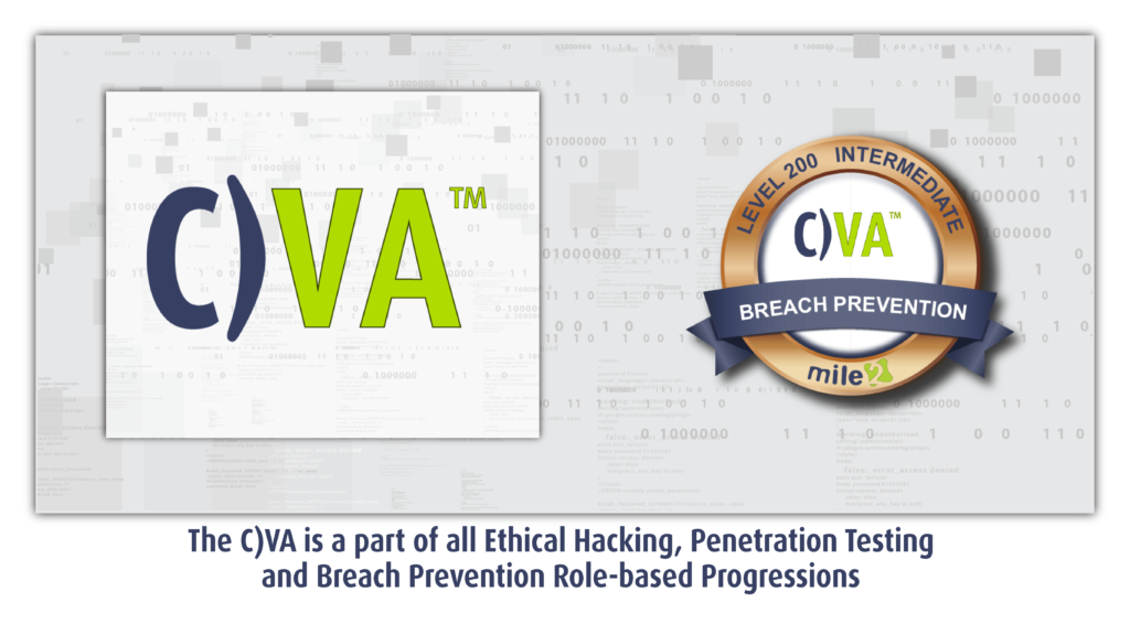 C)VA Certified Vulnerability Assessor LMS