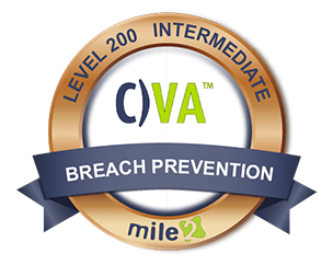 Certified Vulnerability Assessor Badge, 200 Bronze Level
