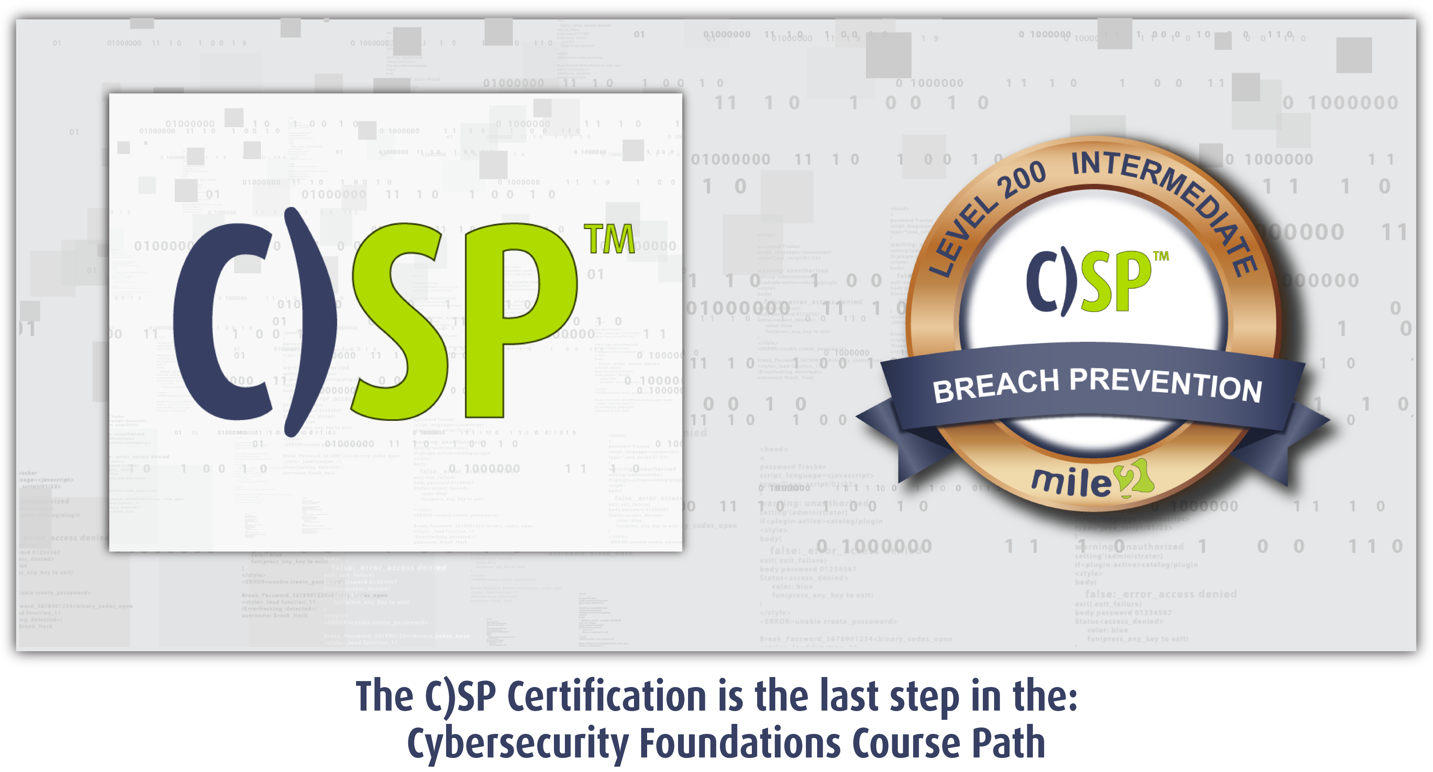 C)SP: Certified Security Principles (UC) - Mile2 Cybersecurity ...